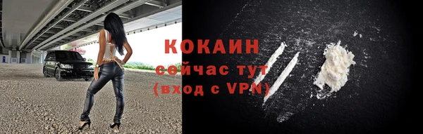 молекула духа Пестово