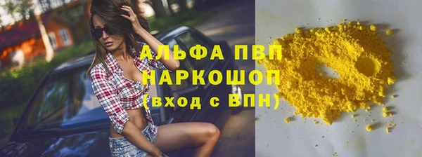 прущие грибы Армянск