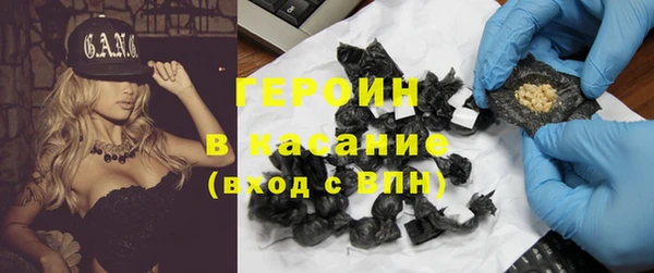 сатива Аркадак