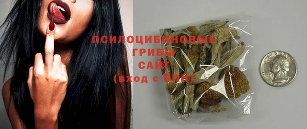 трава Пересвет