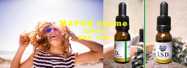 прущие грибы Армянск