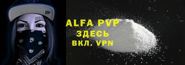 сатива Аркадак