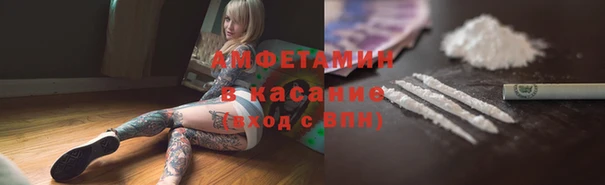 сатива Аркадак