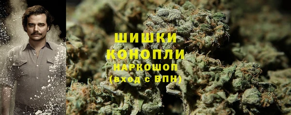 сатива Аркадак
